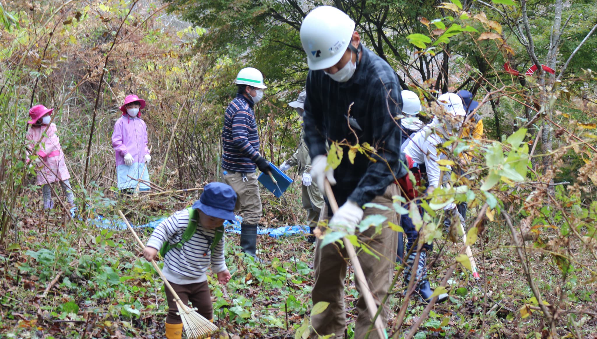 Forestation Activities