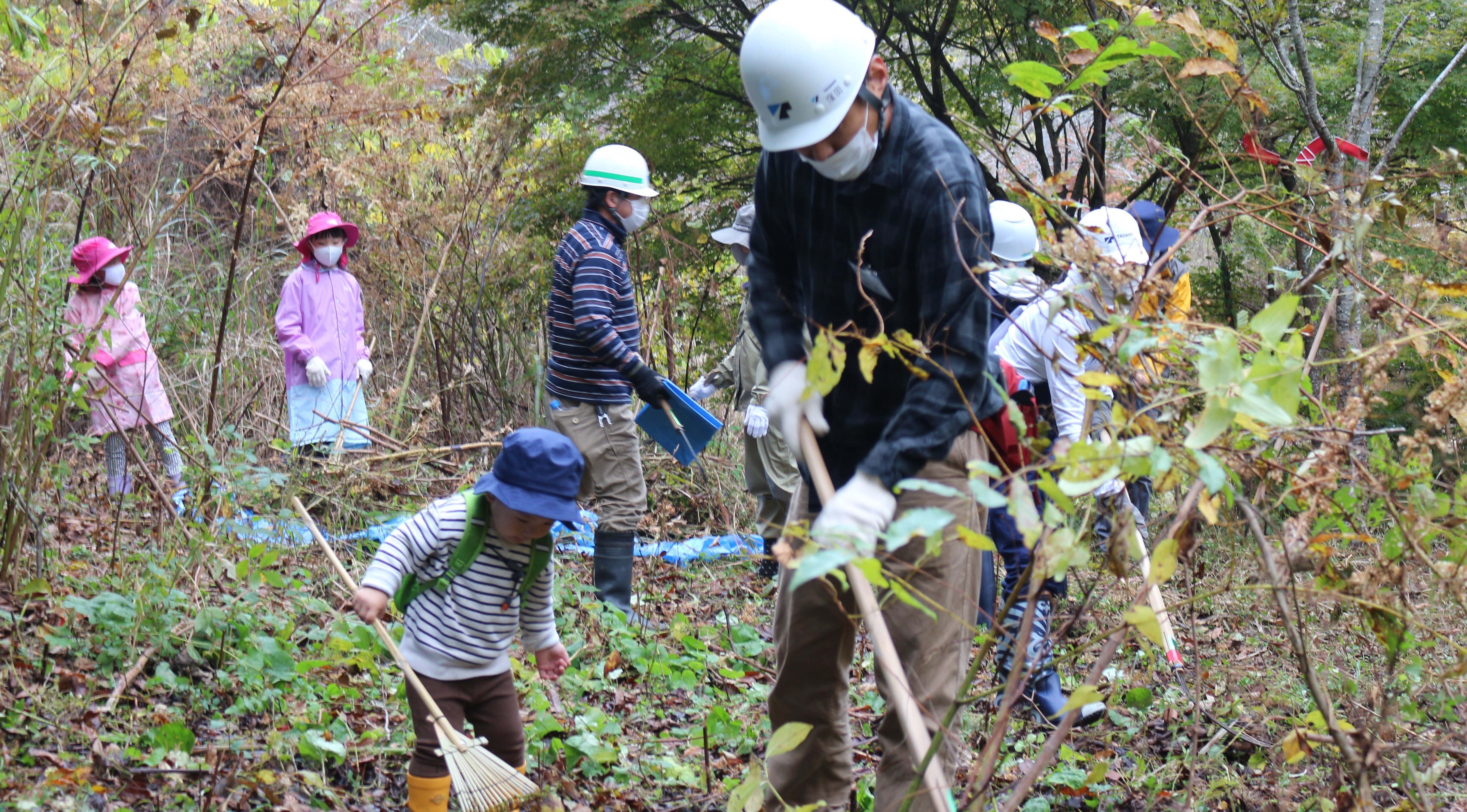 Forestation activity