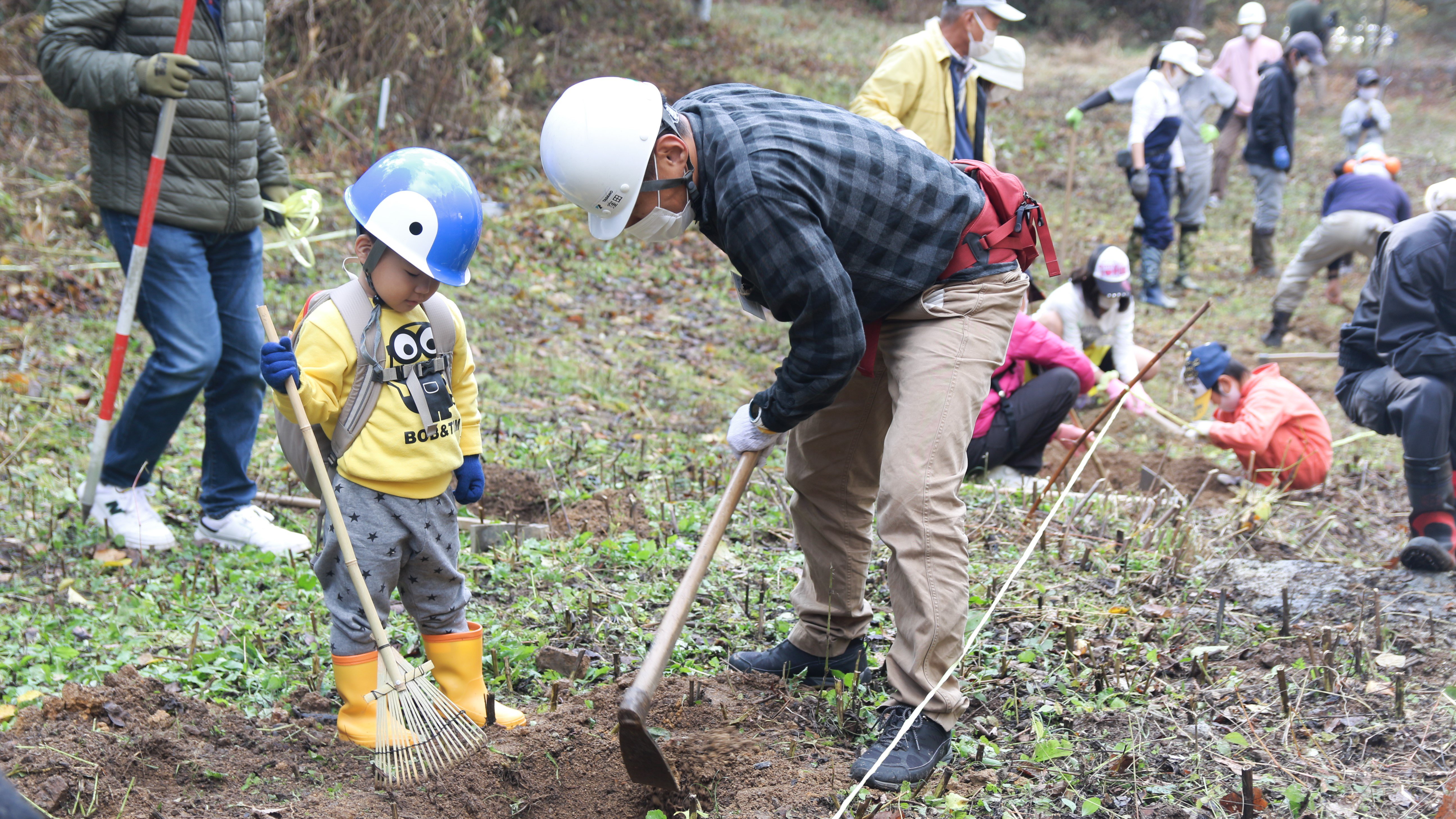 Forestation Activities 